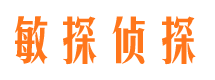 托克托敏探私家侦探公司